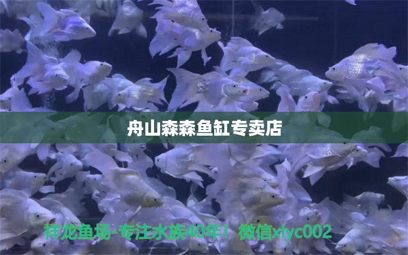 舟山森森魚缸專賣店