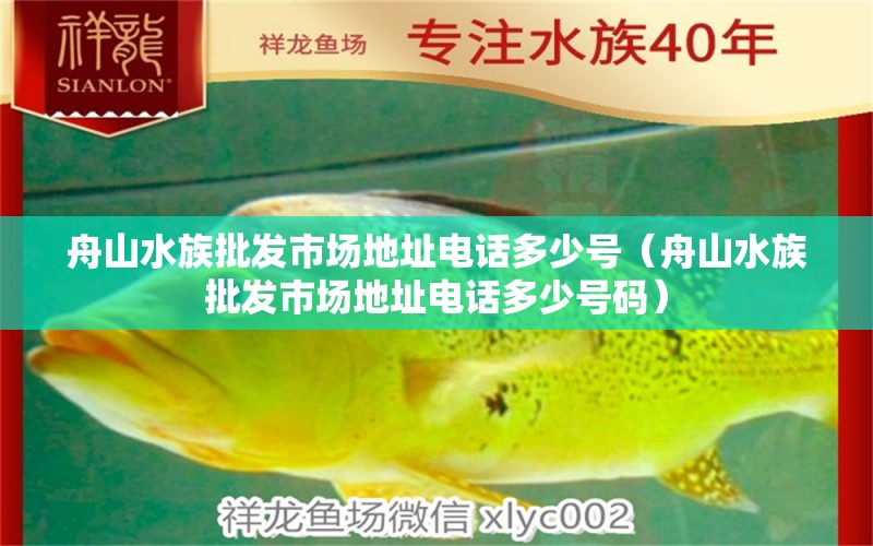 舟山水族批發(fā)市場地址電話多少號（舟山水族批發(fā)市場地址電話多少號碼）