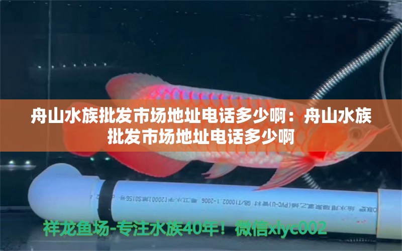 舟山水族批發(fā)市場地址電話多少?。褐凵剿迮l(fā)市場地址電話多少啊