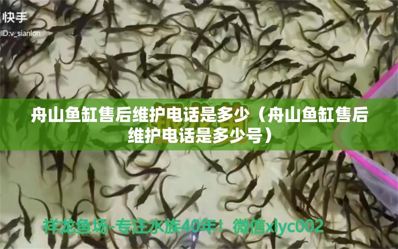 舟山魚缸售后維護電話是多少（舟山魚缸售后維護電話是多少號）