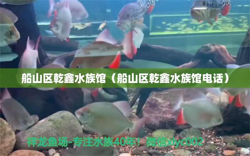 船山區(qū)乾鑫水族館（船山區(qū)乾鑫水族館電話） 全國水族館企業(yè)名錄