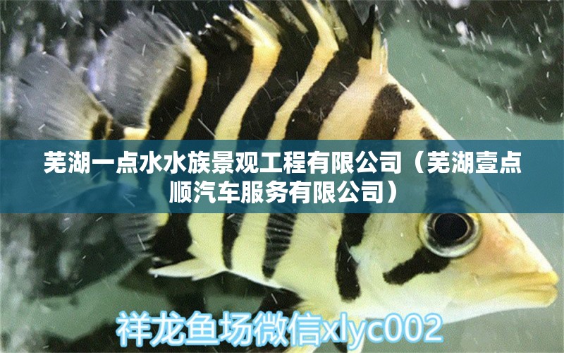 蕪湖一點水水族景觀工程有限公司（蕪湖壹點順汽車服務有限公司）