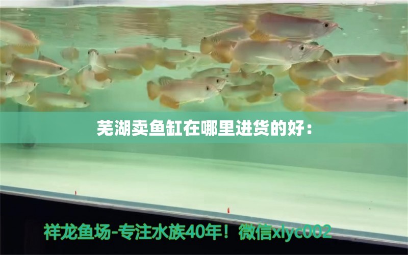 蕪湖賣魚缸在哪里進(jìn)貨的好：