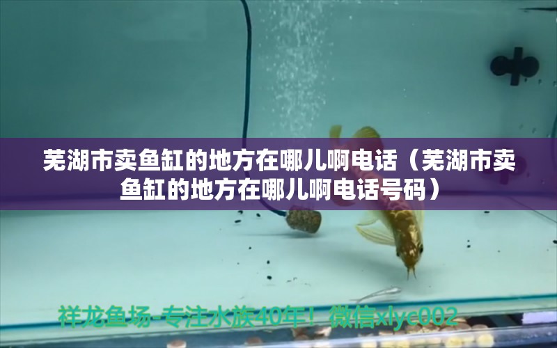 蕪湖市賣魚缸的地方在哪兒啊電話（蕪湖市賣魚缸的地方在哪兒啊電話號(hào)碼）