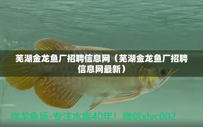 蕪湖金龍魚廠招聘信息網(wǎng)（蕪湖金龍魚廠招聘信息網(wǎng)最新） 祥龍水族醫(yī)院