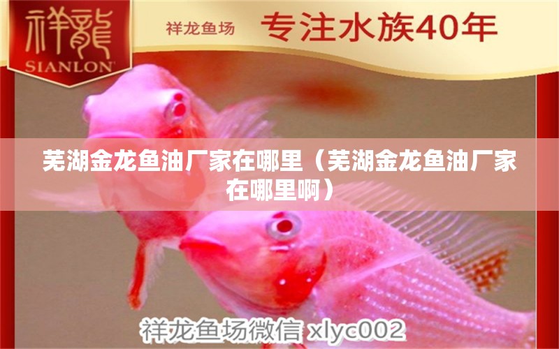 蕪湖金龍魚油廠家在哪里（蕪湖金龍魚油廠家在哪里?。? title=