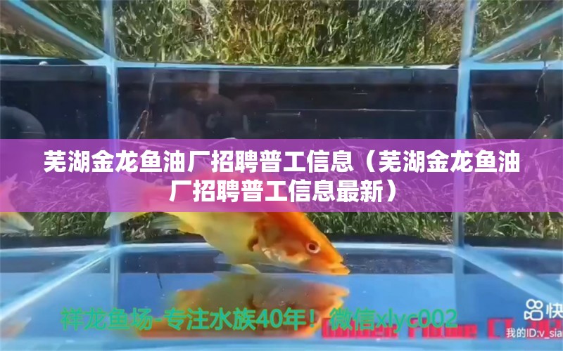 蕪湖金龍魚油廠招聘普工信息（蕪湖金龍魚油廠招聘普工信息最新）