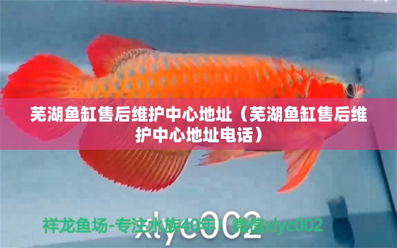 蕪湖魚缸售后維護中心地址（蕪湖魚缸售后維護中心地址電話）