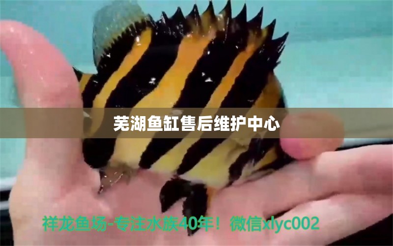 蕪湖魚缸售后維護(hù)中心 其他品牌魚缸