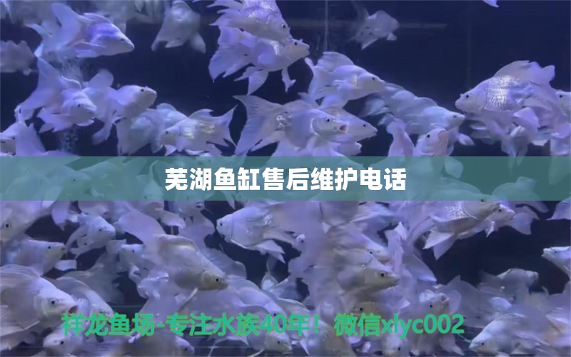 蕪湖魚(yú)缸售后維護(hù)電話