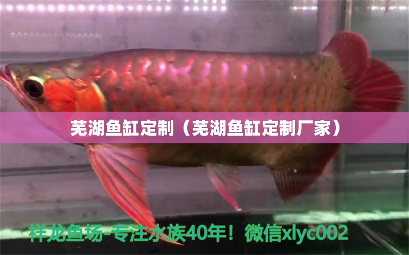 蕪湖魚缸定制（蕪湖魚缸定制廠家） 其他品牌魚缸