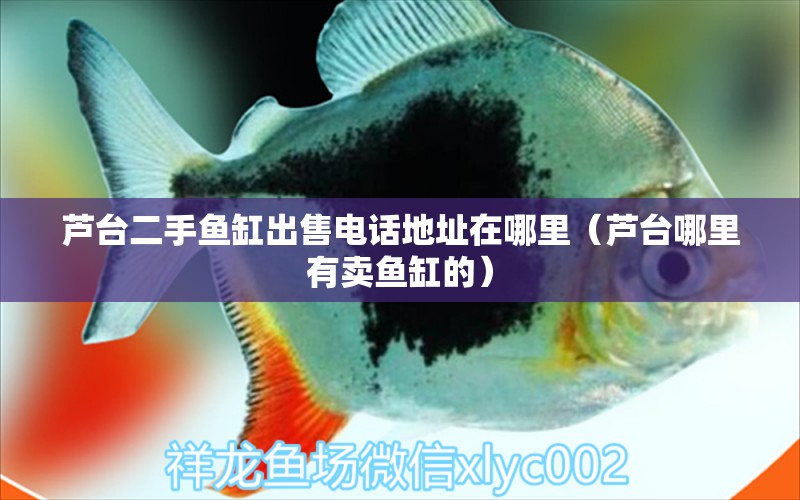 蘆臺(tái)二手魚缸出售電話地址在哪里（蘆臺(tái)哪里有賣魚缸的） 馬來西亞燕窩