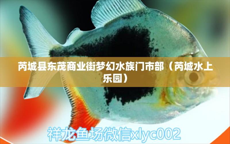 芮城縣東茂商業(yè)街夢幻水族門市部（芮城水上樂園） 全國水族館企業(yè)名錄