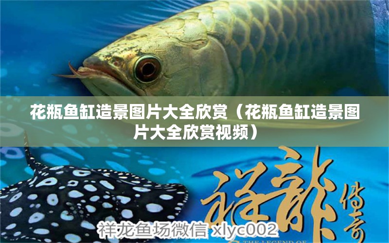 花瓶魚(yú)缸造景圖片大全欣賞（花瓶魚(yú)缸造景圖片大全欣賞視頻） 觀賞魚(yú)市場(chǎng)（混養(yǎng)魚(yú)）