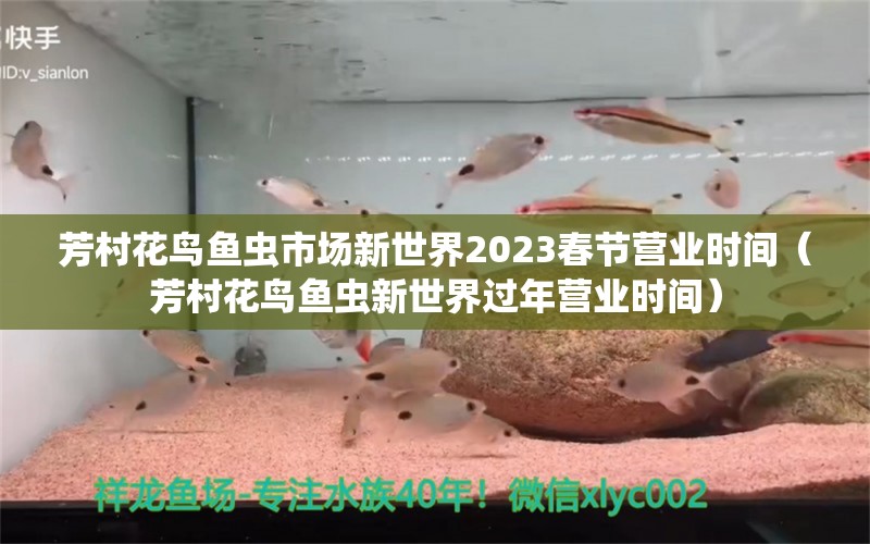 芳村花鳥魚蟲市場新世界2023春節(jié)營業(yè)時間（芳村花鳥魚蟲新世界過年營業(yè)時間） 祥龍水族醫(yī)院