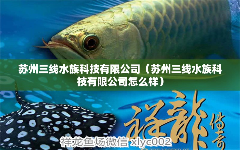 蘇州三線水族科技有限公司（蘇州三線水族科技有限公司怎么樣） 全國水族館企業(yè)名錄