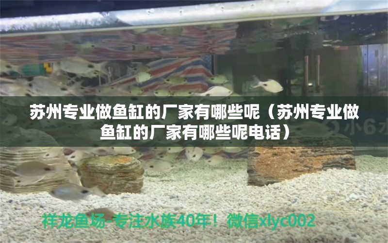 蘇州專業(yè)做魚(yú)缸的廠家有哪些呢（蘇州專業(yè)做魚(yú)缸的廠家有哪些呢電話） 觀賞魚(yú)市場(chǎng)（混養(yǎng)魚(yú)）