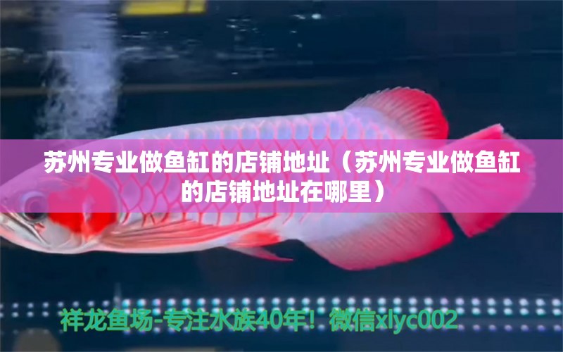 蘇州專業(yè)做魚缸的店鋪地址（蘇州專業(yè)做魚缸的店鋪地址在哪里）