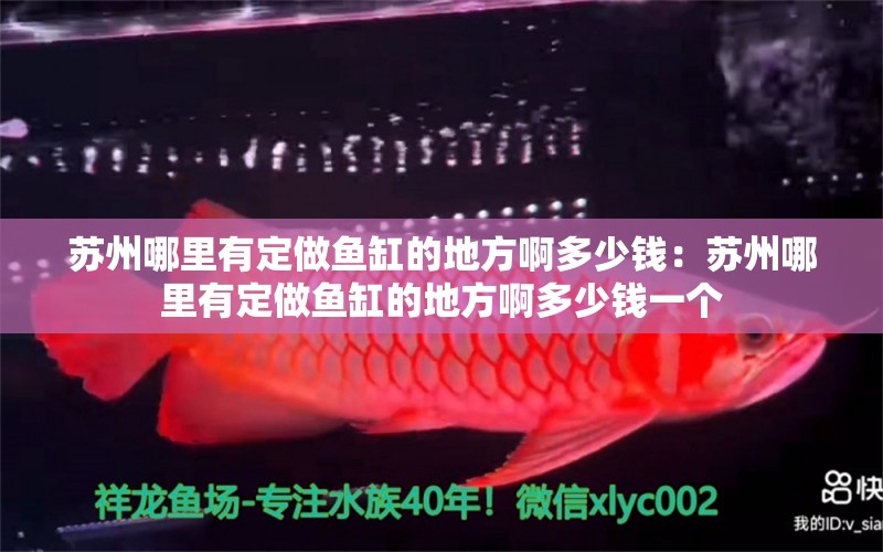 蘇州哪里有定做魚缸的地方啊多少錢：蘇州哪里有定做魚缸的地方啊多少錢一個