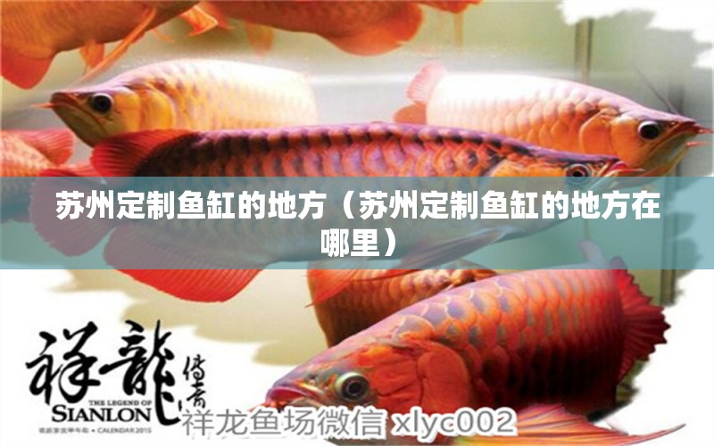 蘇州定制魚缸的地方（蘇州定制魚缸的地方在哪里） 觀賞魚市場（混養(yǎng)魚）