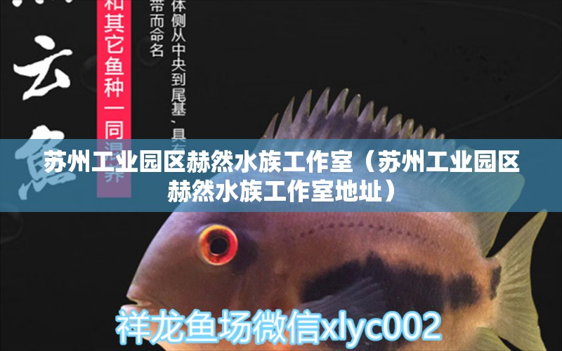 蘇州工業(yè)園區(qū)赫然水族工作室（蘇州工業(yè)園區(qū)赫然水族工作室地址）