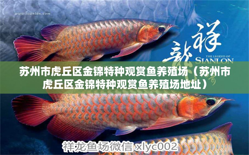 蘇州市虎丘區(qū)金錦特種觀賞魚(yú)養(yǎng)殖場(chǎng)（蘇州市虎丘區(qū)金錦特種觀賞魚(yú)養(yǎng)殖場(chǎng)地址） 全國(guó)水族館企業(yè)名錄