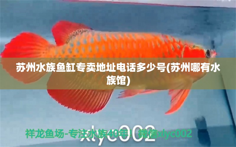 蘇州水族魚缸專賣地址電話多少號(蘇州哪有水族館)