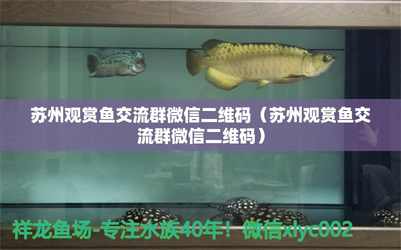 蘇州觀賞魚交流群微信二維碼（蘇州觀賞魚交流群微信二維碼）