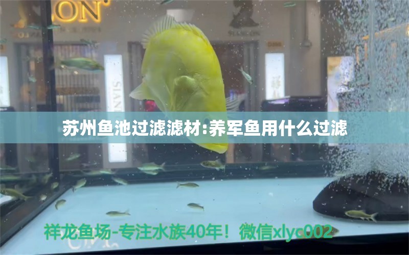 蘇州魚池過(guò)濾濾材:養(yǎng)軍魚用什么過(guò)濾