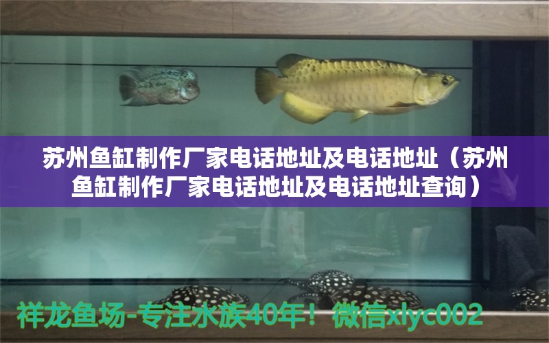 蘇州魚(yú)缸制作廠家電話地址及電話地址（蘇州魚(yú)缸制作廠家電話地址及電話地址查詢） 祥龍水族醫(yī)院