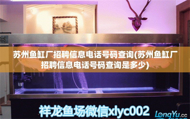 蘇州魚缸廠招聘信息電話號碼查詢(蘇州魚缸廠招聘信息電話號碼查詢是多少) 撒旦鴨嘴魚