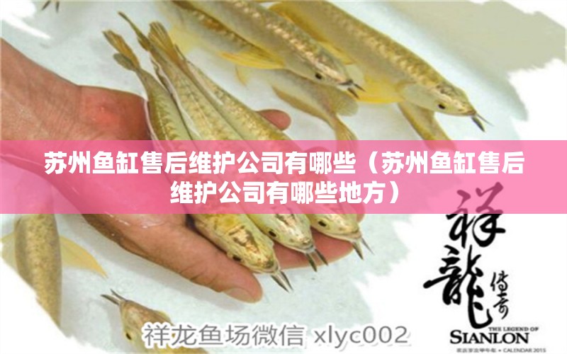 蘇州魚缸售后維護公司有哪些（蘇州魚缸售后維護公司有哪些地方） 其他品牌魚缸