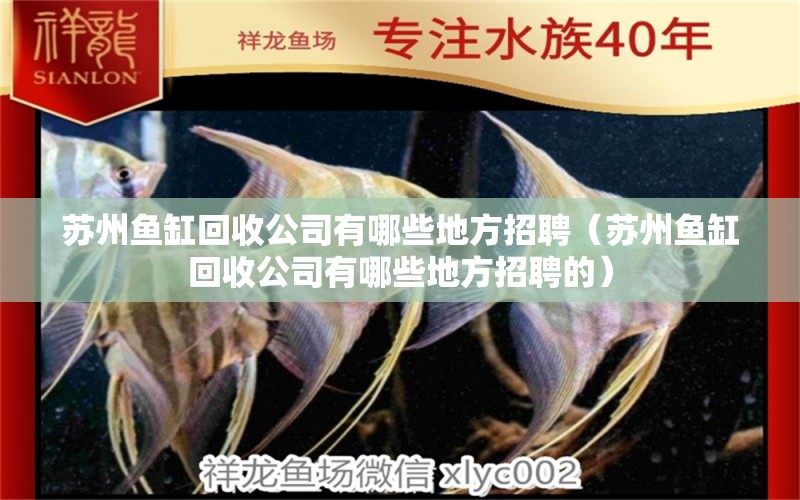 蘇州魚缸回收公司有哪些地方招聘（蘇州魚缸回收公司有哪些地方招聘的）