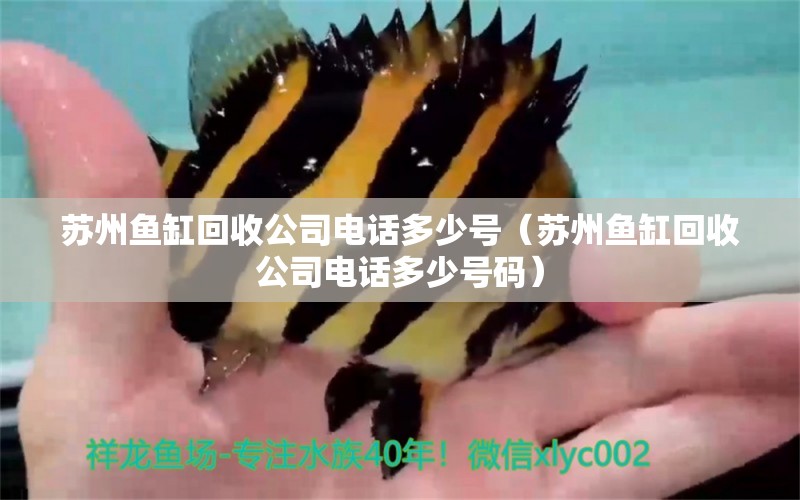 蘇州魚缸回收公司電話多少號(hào)（蘇州魚缸回收公司電話多少號(hào)碼） 廣州水族批發(fā)市場