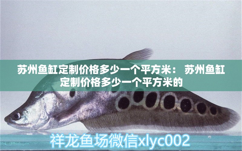 蘇州魚缸定制價格多少一個平方米： 蘇州魚缸定制價格多少一個平方米的 白子銀版魚