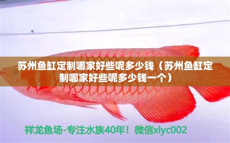 蘇州魚缸定制哪家好些呢多少錢（蘇州魚缸定制哪家好些呢多少錢一個）