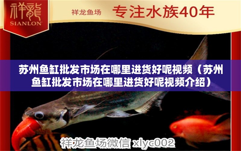 蘇州魚缸批發(fā)市場在哪里進貨好呢視頻（蘇州魚缸批發(fā)市場在哪里進貨好呢視頻介紹）