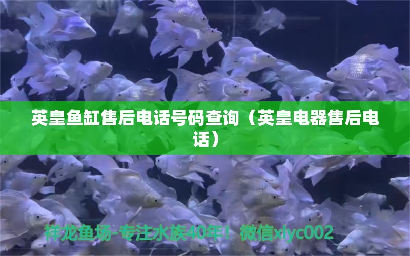 英皇魚(yú)缸售后電話號(hào)碼查詢（英皇電器售后電話）