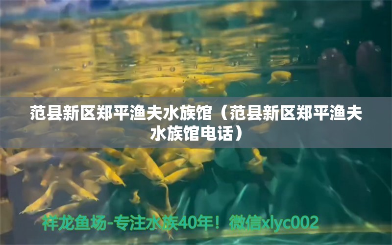 范縣新區(qū)鄭平漁夫水族館（范縣新區(qū)鄭平漁夫水族館電話） 全國水族館企業(yè)名錄