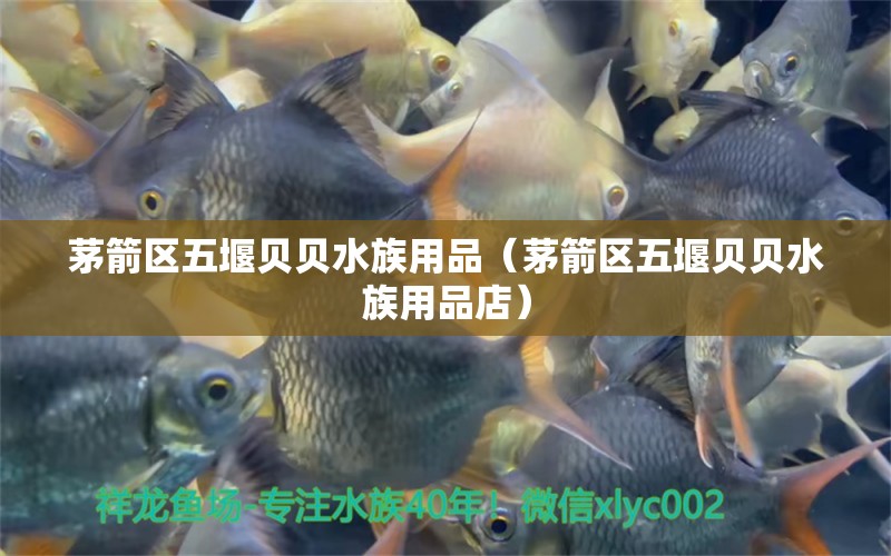 茅箭區(qū)五堰貝貝水族用品（茅箭區(qū)五堰貝貝水族用品店） 水族用品