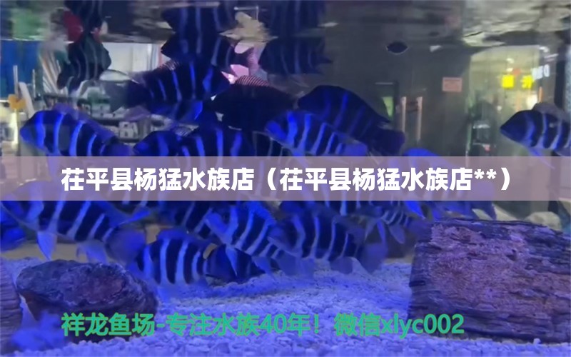 茌平縣楊猛水族店（茌平縣楊猛水族店**）