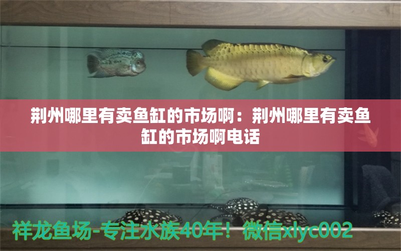 荊州哪里有賣(mài)魚(yú)缸的市場(chǎng)?。呵G州哪里有賣(mài)魚(yú)缸的市場(chǎng)啊電話(huà)