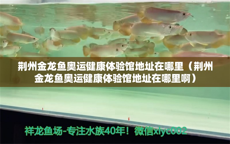 荊州金龍魚奧運健康體驗館地址在哪里（荊州金龍魚奧運健康體驗館地址在哪里?。? title=