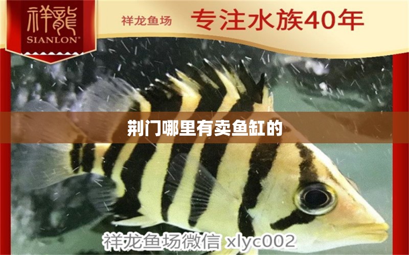 荊門哪里有賣魚缸的