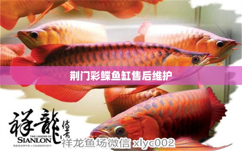 荊門彩鰈魚缸售后維護 彩鰈魚缸（彩蝶魚缸）