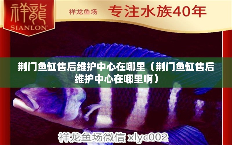 荊門魚缸售后維護(hù)中心在哪里（荊門魚缸售后維護(hù)中心在哪里?。? title=