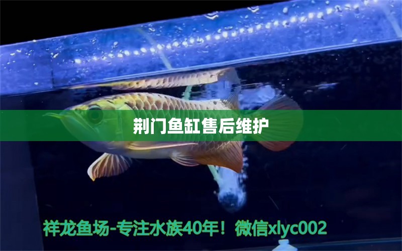 荊門魚缸售后維護(hù)