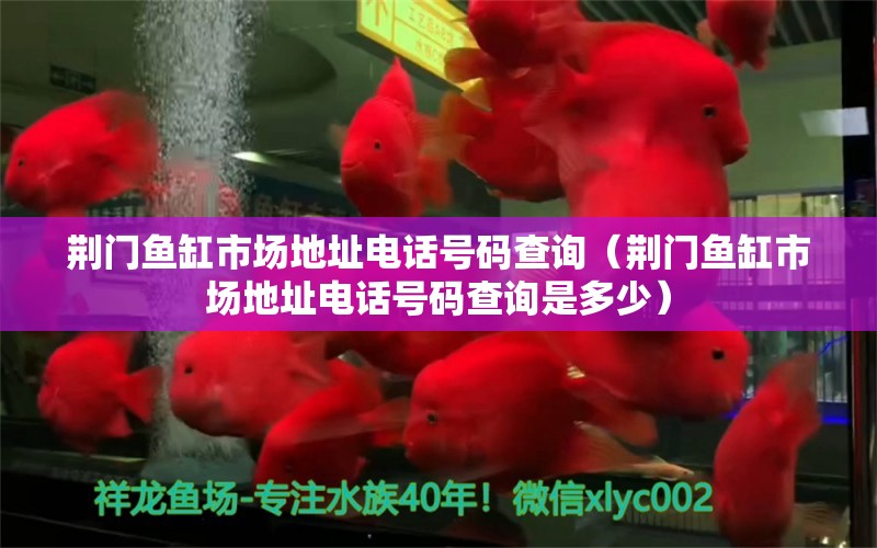 荊門魚缸市場(chǎng)地址電話號(hào)碼查詢（荊門魚缸市場(chǎng)地址電話號(hào)碼查詢是多少） 觀賞魚市場(chǎng)（混養(yǎng)魚）