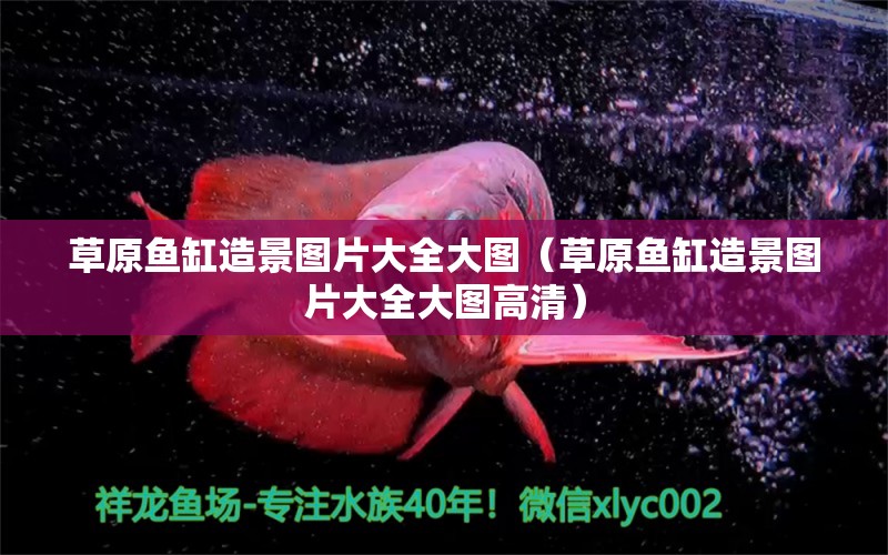 草原魚缸造景圖片大全大圖（草原魚缸造景圖片大全大圖高清） 觀賞魚魚苗