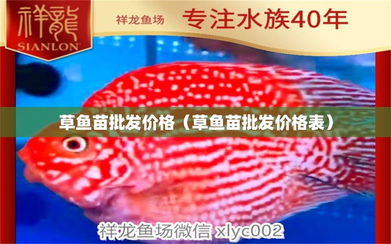 草魚苗批發(fā)價格（草魚苗批發(fā)價格表）